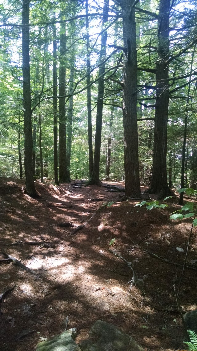 IMG_20170909_120932324